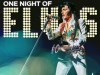 One Night of Elvis  - Lee Memphis King