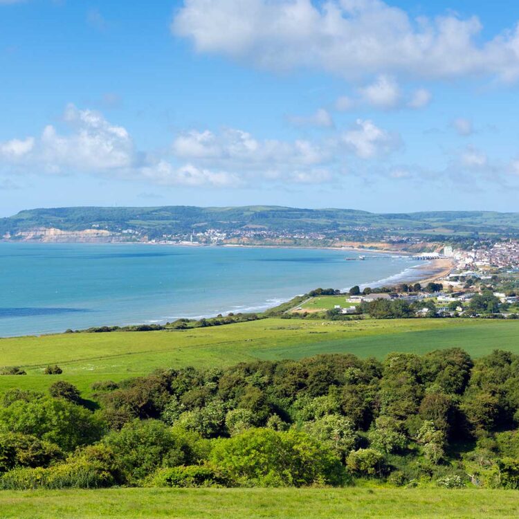 Isle Of Wight Landscape